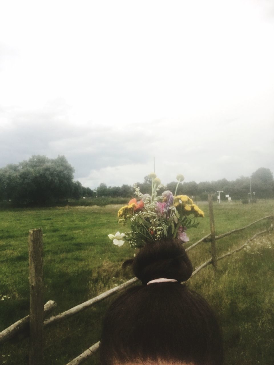 field, flower, landscape, growth, sky, beauty in nature, nature, tranquil scene, grass, tree, rural scene, tranquility, scenics, plant, green color, day, outdoors, grassy, no people, green, non-urban scene, idyllic, remote, cloud - sky, horizon over land