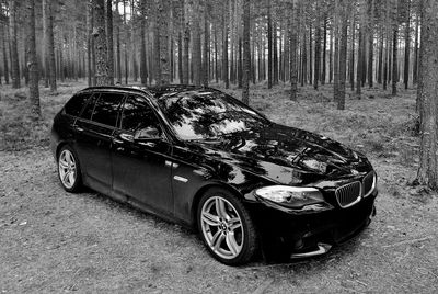 Vintage car in forest