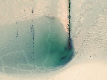 High angle view of starfish on beach