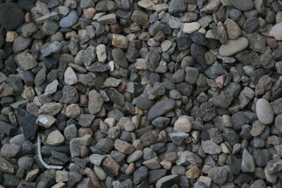 Full frame shot of pebbles