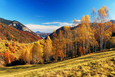 Scenic view of trees and mountains against blue sky during autumn