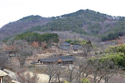 High angle view of trees and buildings against sky