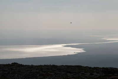 Bird flying over sea against sky