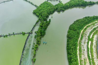 Aerial view of fish farm near the bengawan solo river, gresik, indonesia. top view.