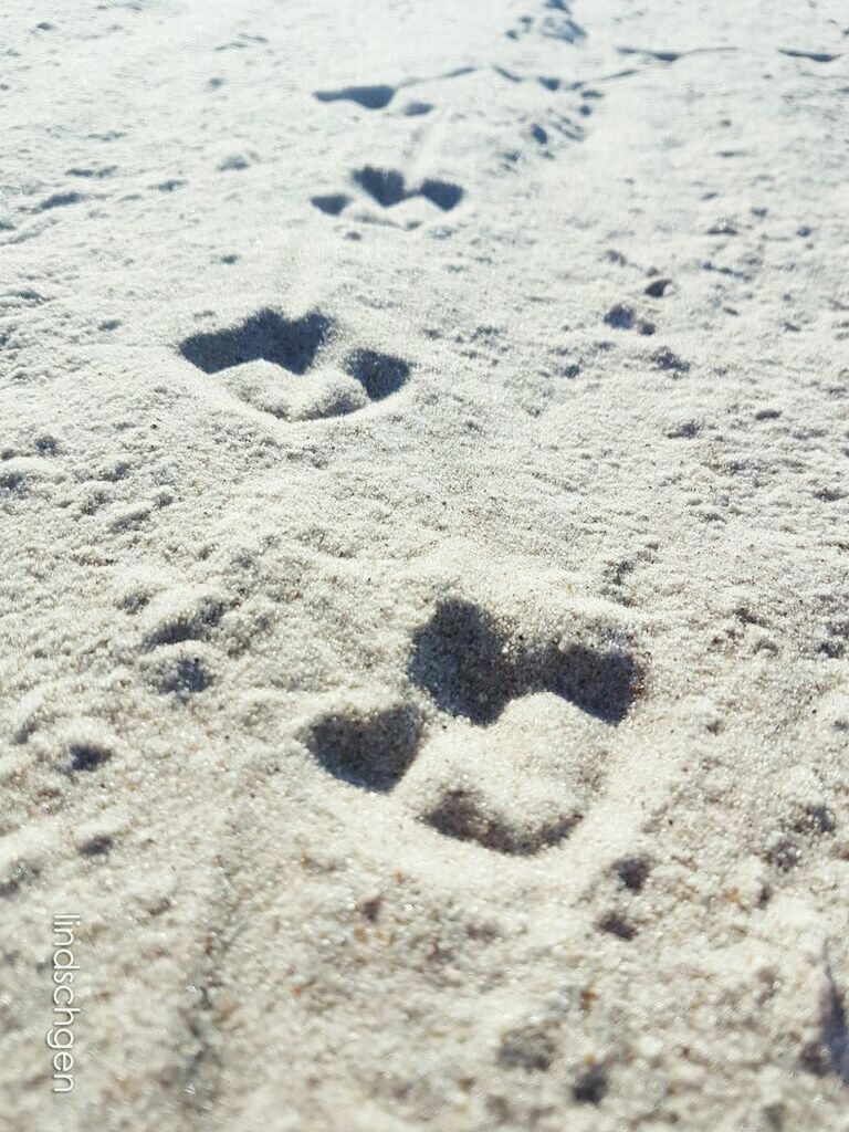 footprint, high angle view, mystery, beach, sand, identity, full frame, backgrounds, vacations, nature, outdoors, tourism, tranquility, non-urban scene, surface level, no people, wave pattern