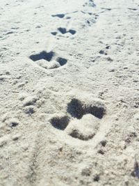 footprint