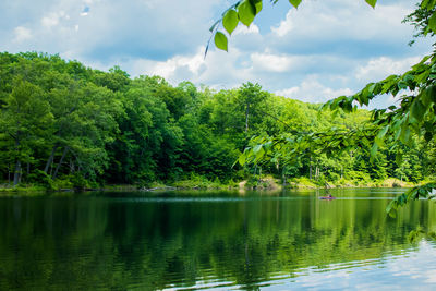 Scenic view of lake by trees against sky