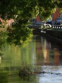 Bridge over river