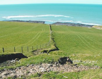 Scenic view of landscape against blue sky