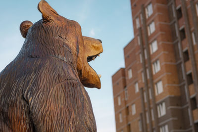 Head of wooden bear on background of apartment house