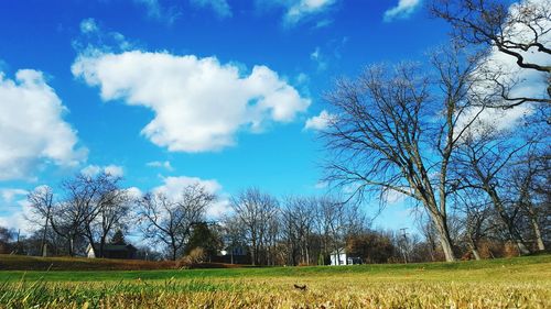 Scenic view of field against cloudy sky