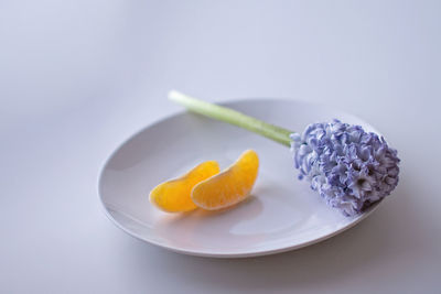 Close-up of fruit over white background