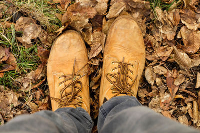 Low section of man standing on autumn leaves