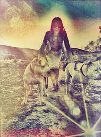 animal themes