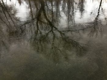 Reflection of water in water