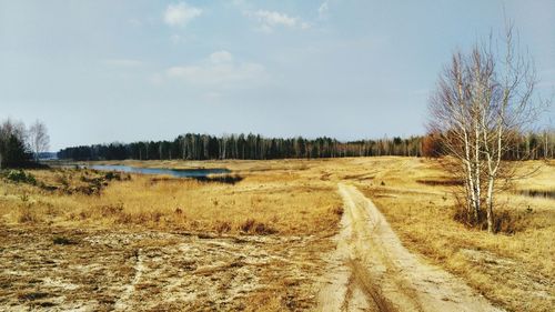 Scenic view of agricultural field against sky