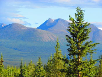 Scenic view of tree mountains against sky