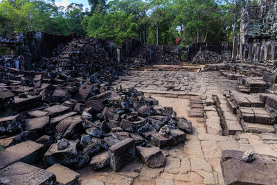 View of trees in old ruin