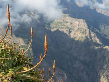 In the mountains of madeira