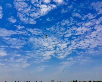 Low angle view of birds flying in sky