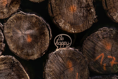 Detail shot of logs in forest