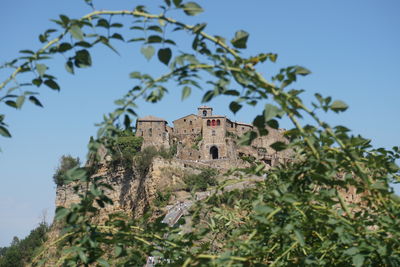 Low angle view of tree by building against sky