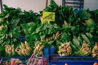 High angle view of vegetables for sale