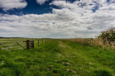 Meadow against cumulus clouds