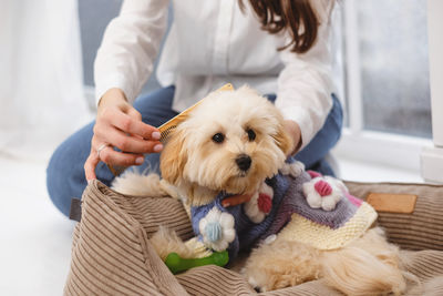 Midsection of woman holding dog