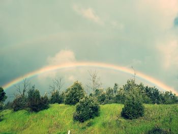 Scenic view of rainbow over trees on field against sky