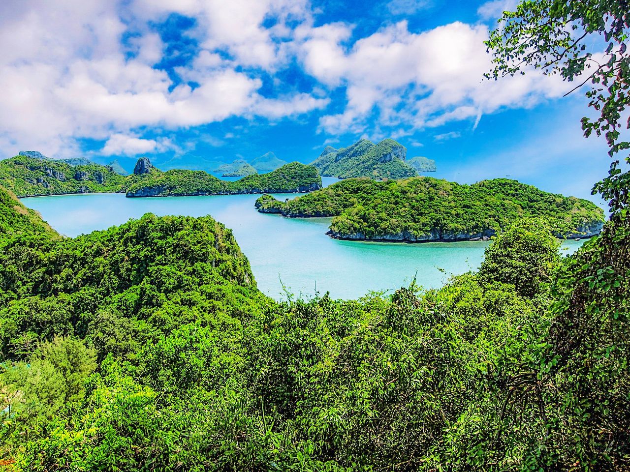 green color, water, plant, tranquility, sky, scenics - nature, tranquil scene, beauty in nature, cloud - sky, tree, nature, day, growth, no people, idyllic, sea, mountain, land, non-urban scene, outdoors, bay, lagoon