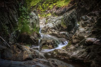 Scenic view of waterfall in forest