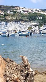 Boats in harbor