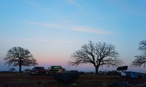 Bare trees against sky