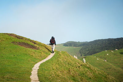 Rear view of man on mountain against sky