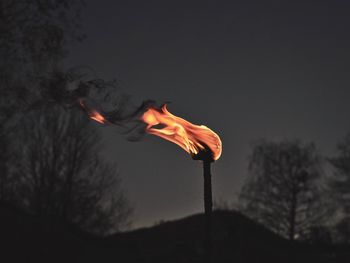 Low angle view of silhouette plant against orange sky