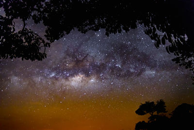 Low angle view of silhouette trees against sky at night
