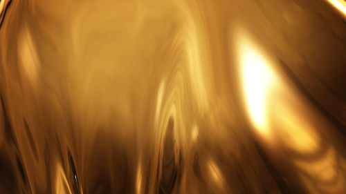 Close-up of crops on field