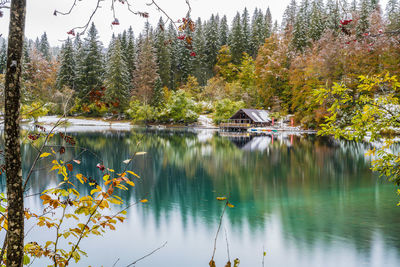 Scenic view of lake in forest during autumn