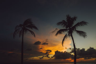 Low angle view of silhouette palm trees against romantic sky