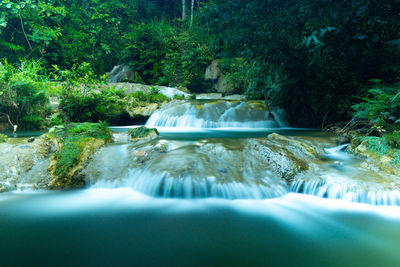 Scenic view of waterfall in forest