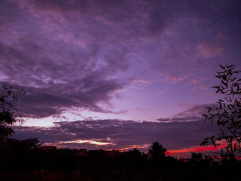 Low angle view of silhouette trees against dramatic sky