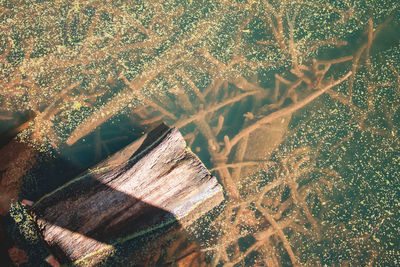 Aerial view of farm at sunset