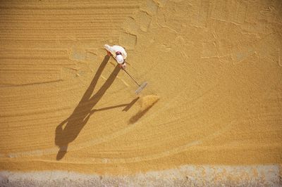 High angle view of man working on agricultural field