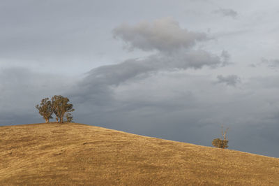 Low angle view of trees against cloudy sky