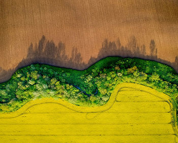 High angle view of green land against trees