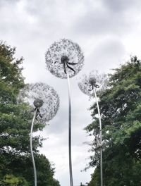 Low angle view of flower trees against sky