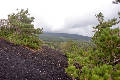 Scenic view of landscape against cloudy sky