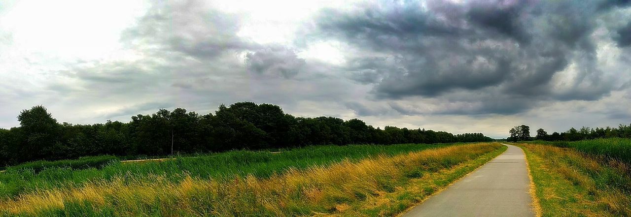 SCENIC VIEW OF ROAD AMIDST TREES AGAINST SKY