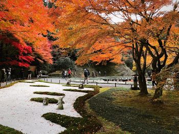 People walking in park during autumn